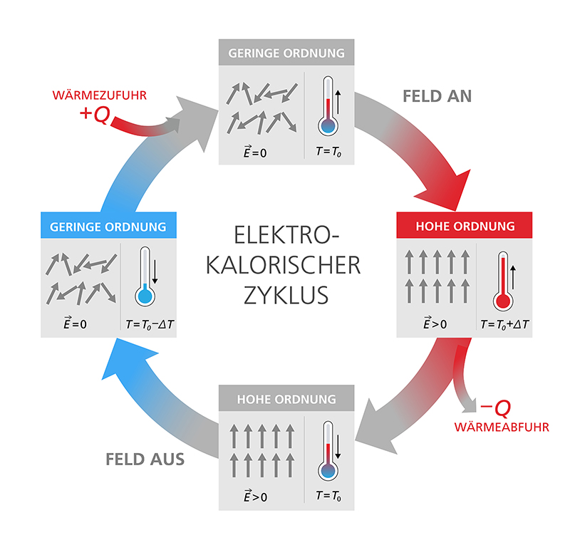 Elektrokalorischer Kühlkreislauf