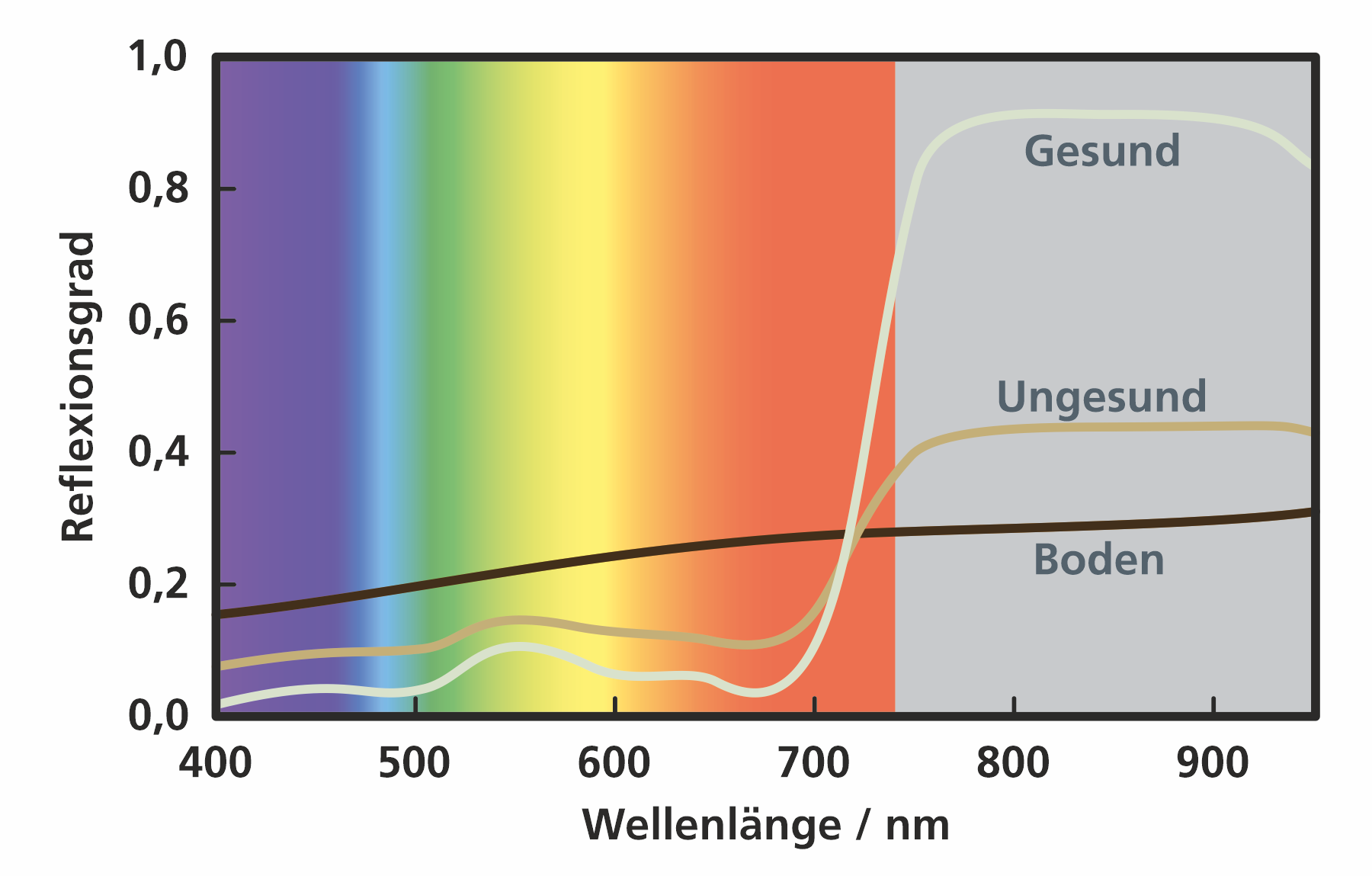 Normalized Difference Vegetation Index: Zustand von Vegetation beurteilen