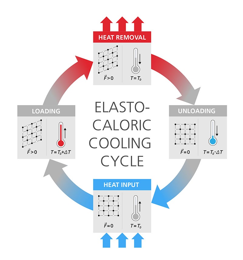 elastocaloric cooling cycle