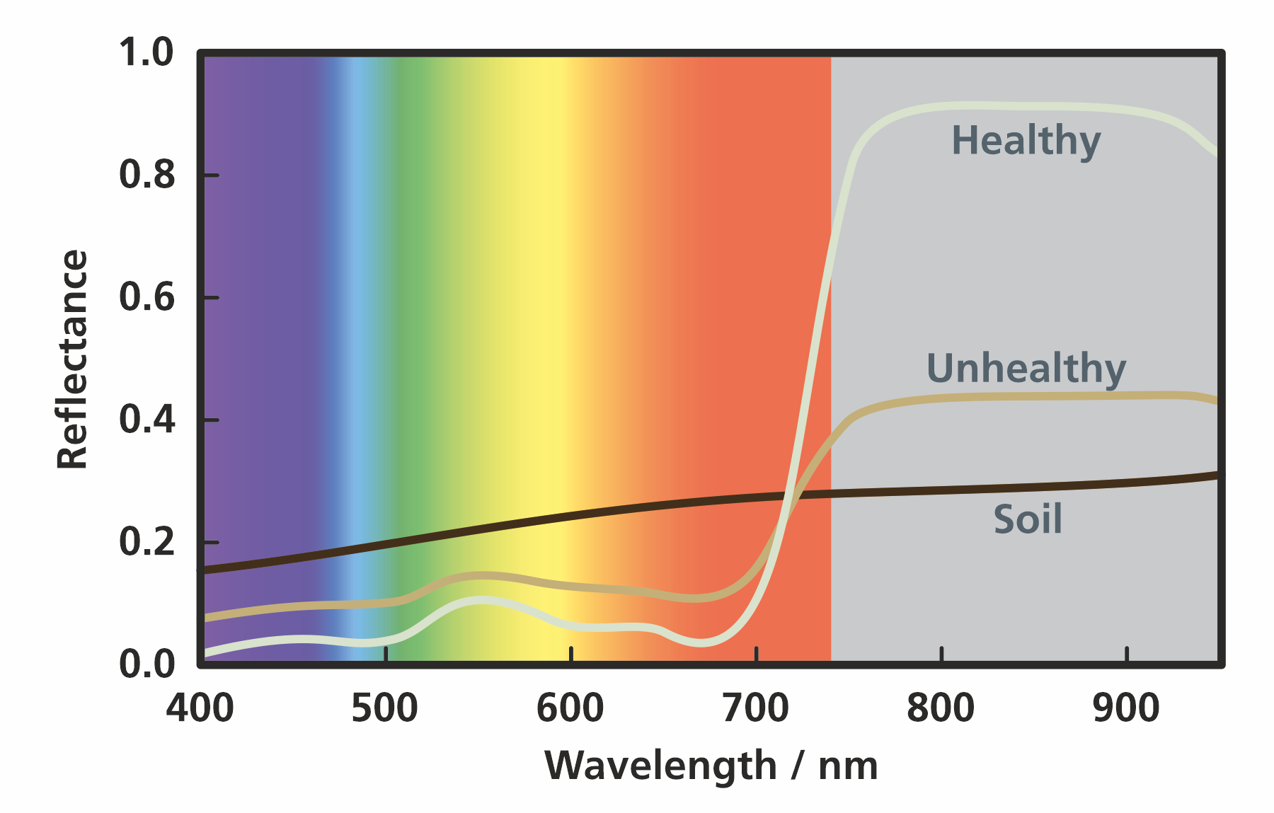 Normalized Difference Vegetation Index (NDVI) for assessing the health of vegetation