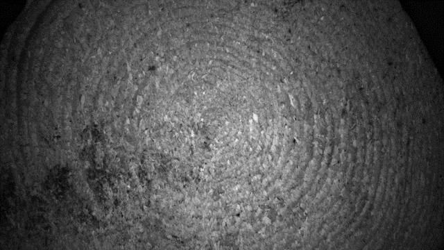 Track & Trace Fingerprint: Markierungsfreie Rückverfolgung von Baumstämmen